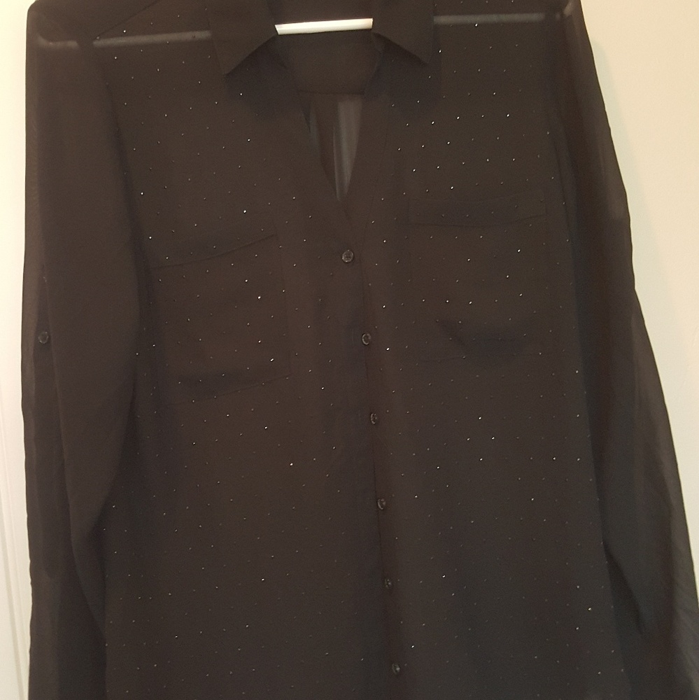 Express portifino sheer blouse